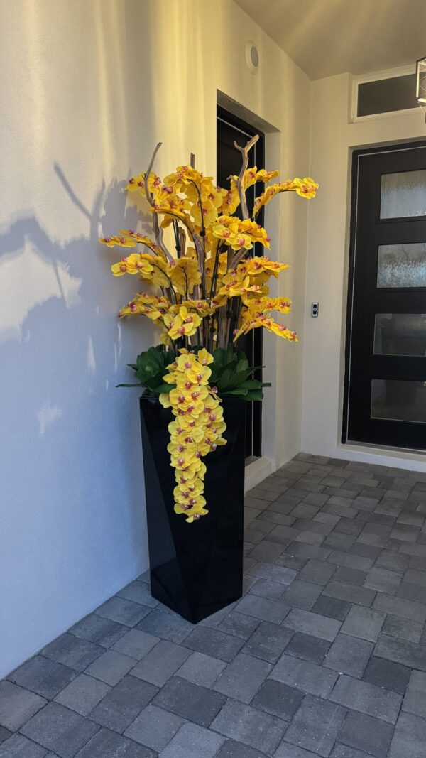 Cascading yellow orchids, black vase