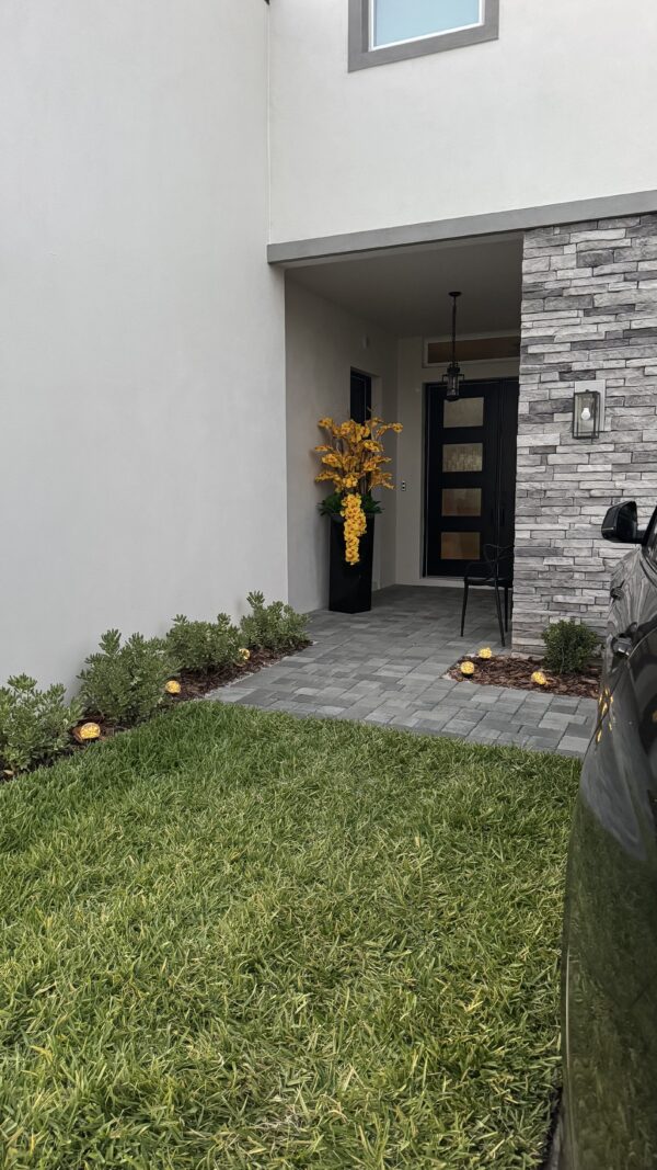 Cascading yellow orchids, black vase - Image 4
