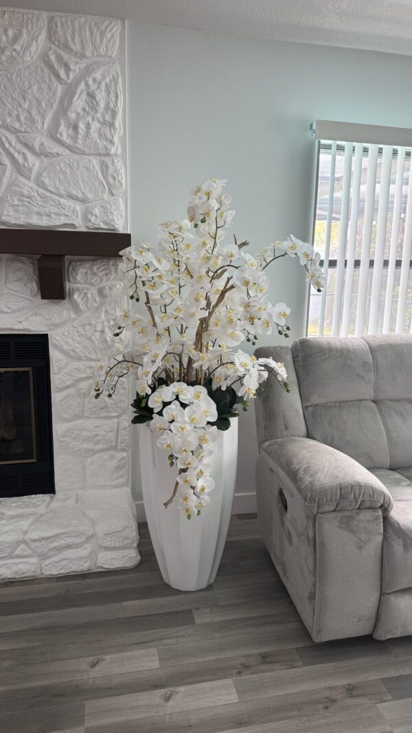 Cascading white orchids, white vase