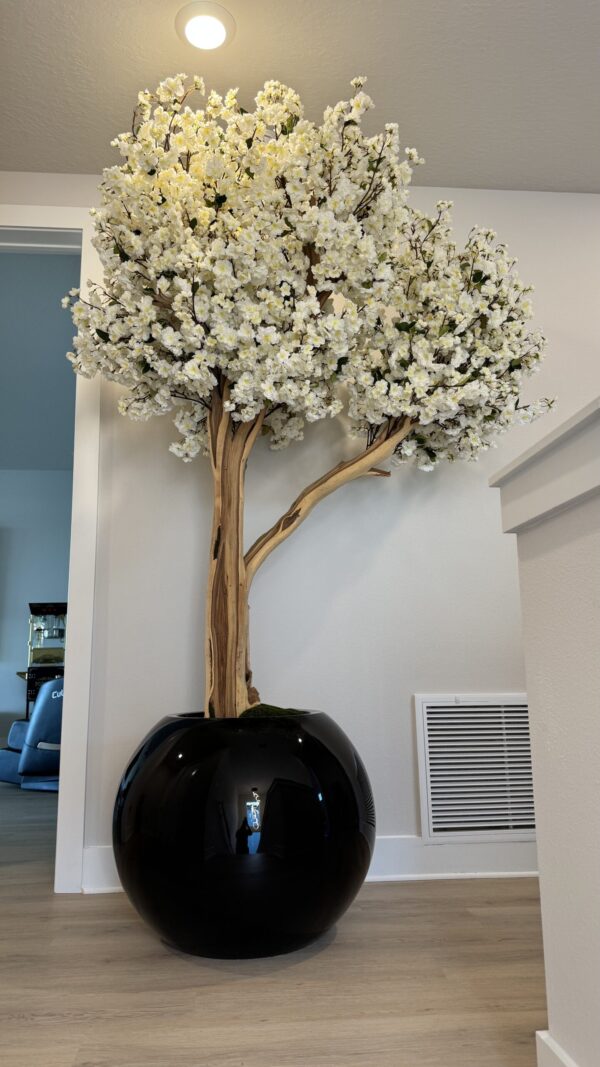 White cherry blossom tree on a black round vase