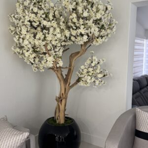 White cherry blossom tree on a black round vase