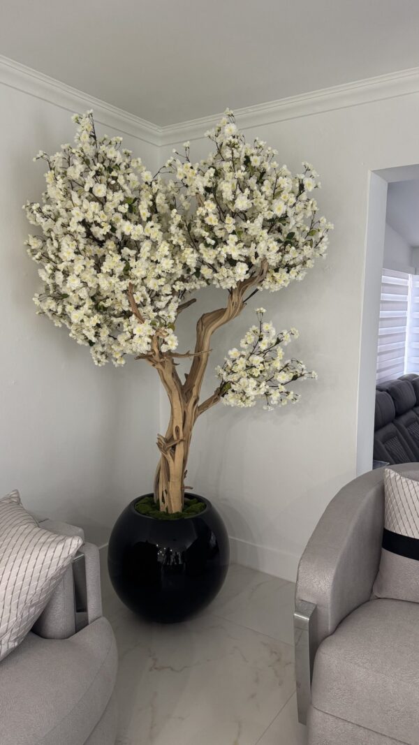 White cherry blossom tree on a black round vase