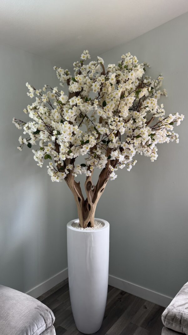 White cherry blossom on a tall white vase - Image 4