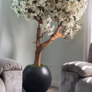 White cherry blossom tree on a round matte black vase