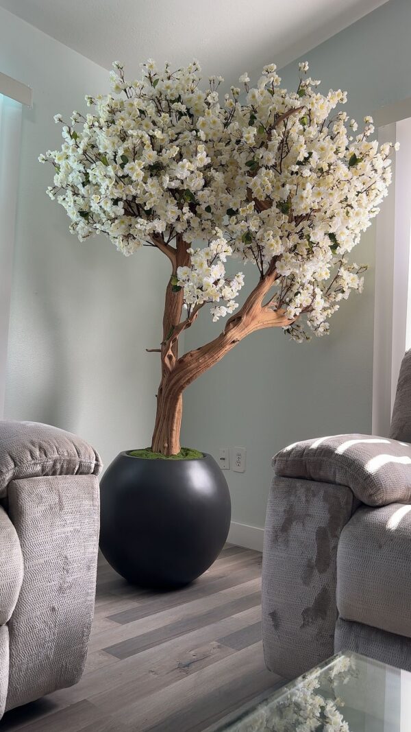 White cherry blossom tree on a round matte black vase