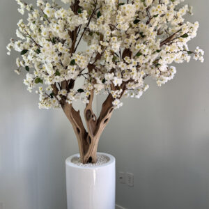 White cherry blossom on a tall white vase