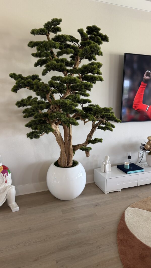 Bonsai on a round white vase - Image 5