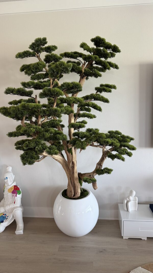 Bonsai on a round white vase - Image 4