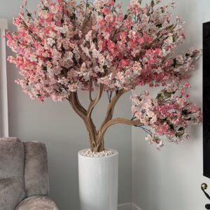 Pink cherry blossom on a tall white vase