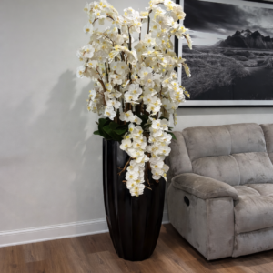 Orchids
