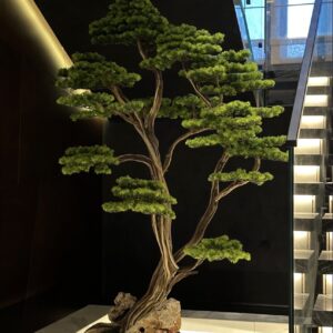 Bonsai